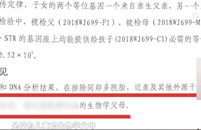 如何偷偷做亲子鉴定，步骤、注意事项与常见问题解答,高速方案规划_iPad88.40.57