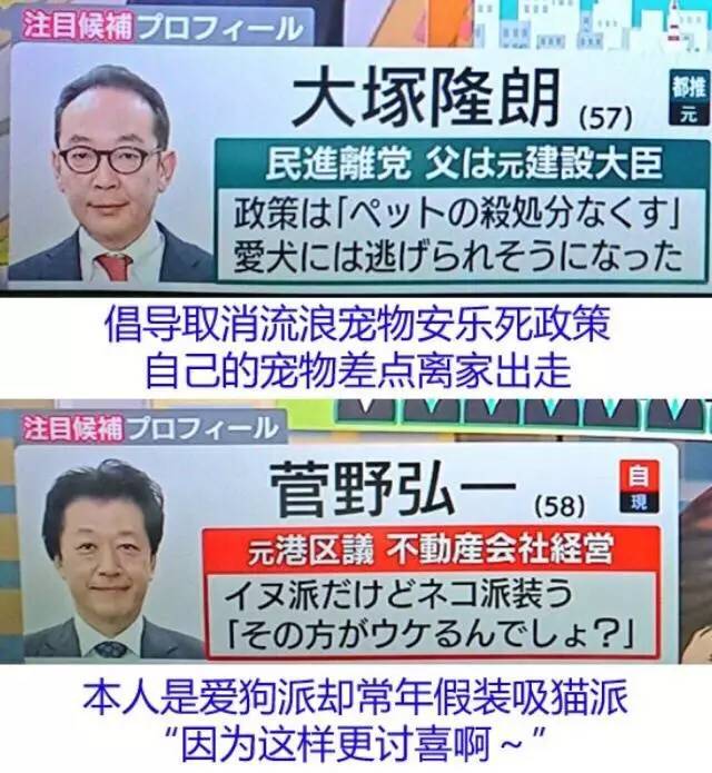 韩国新闻热点概述，政治、经济、社会与文化领域的最新动态,高速响应策略_粉丝版37.92.20