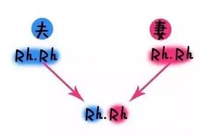 abo溶血需要夫妻一起抽血吗