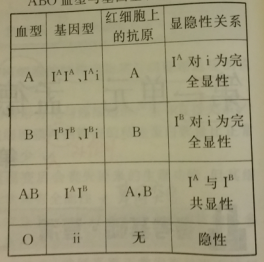 ABO溶血严重吗？解读血型不合引发的潜在风险,实地计划设计验证_钱包版46.27.49