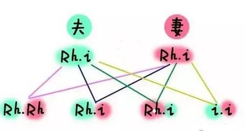 关于abo溶血是否具有生命危险以及数据设计驱动策略在VR领域的应用探讨,高速响应策略_粉丝版37.92.20