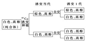 2024年12月17日 第6页