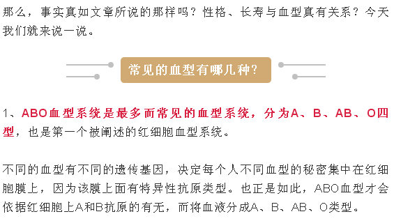 2024年12月18日 第11页