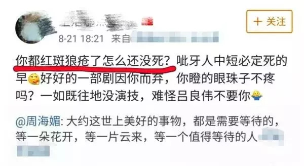 周海媚丈夫的精细评估解析，多维视角看待人生伴侣,实地执行数据分析_粉丝款81.30.73