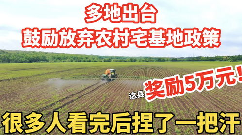 空置宅基地和闲置宅基地