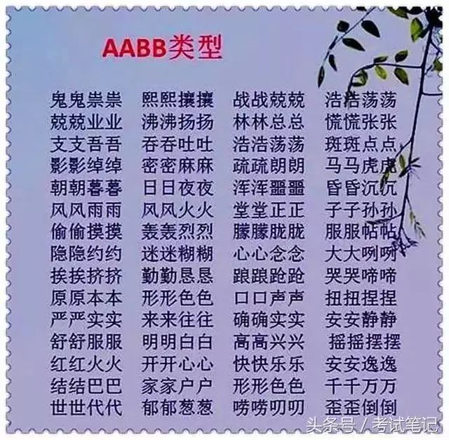 我和体育800字作文10篇