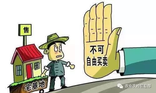 空置宅基地是什么意思,空置宅基地的含义与持久性执行策略，经典款的深度解读,实时解答解析说明_Notebook65.47.12