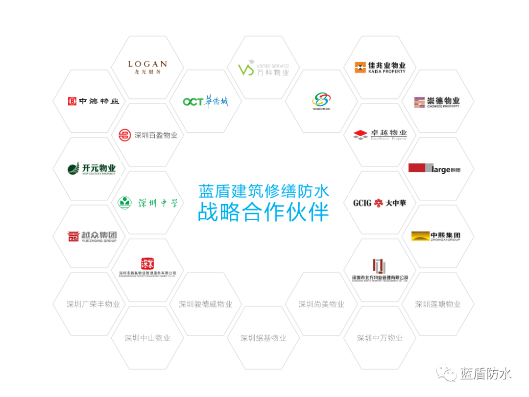 新型辅料有哪些