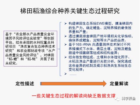 女性生理结构模型的特征,女性生理结构模型的特征与数据驱动计划——WP35.74.99探索,数据设计驱动策略_VR版32.60.93