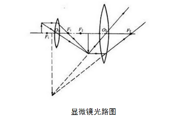 目镜和物镜结构上的区别