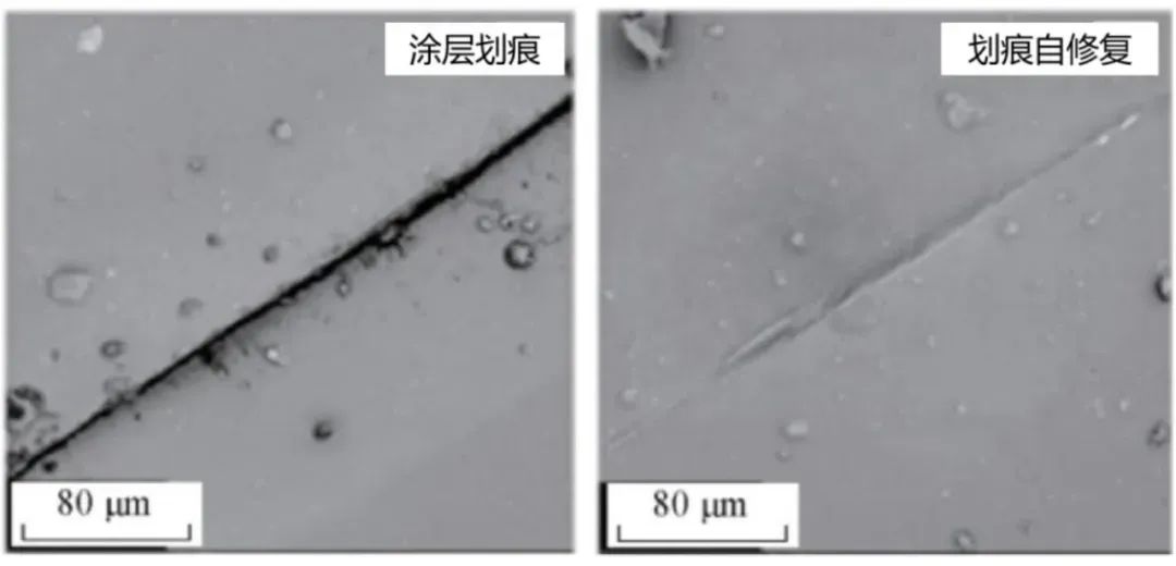 防腐涂层材料