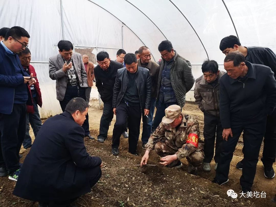 中药材种植上市公司有哪些,中药材种植上市公司动态解读及概述,适用性方案解析_2D57.74.12