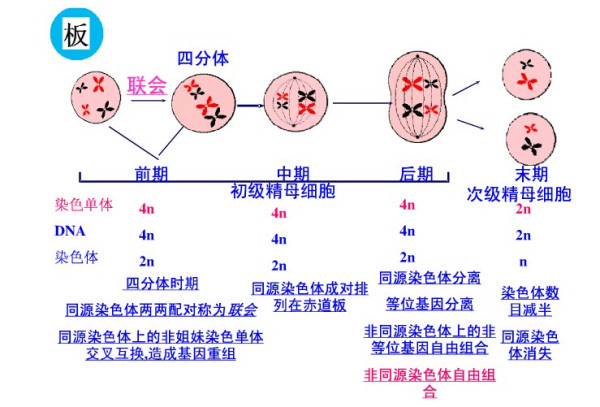 锆石染色