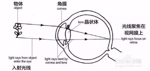 2024年12月26日 第4页