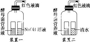 收银纸与隔膜阀结构一样吗