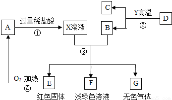 洗涤用品的分配盒中应该放入什么