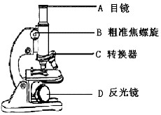 目镜与物镜简图