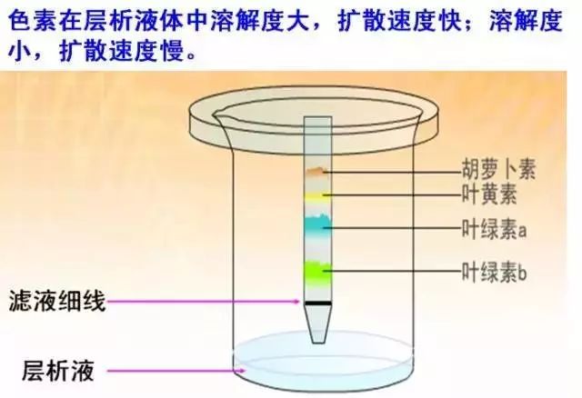 手摇发电机与什么构造相似,手摇发电机的构造与相似性分析，一种快捷问题解决策略的探讨,创新性方案解析_XR34.30.30