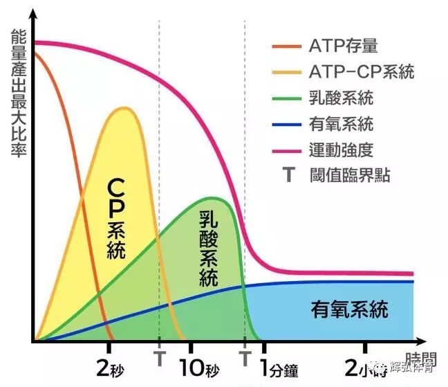 操作系统与交联剂对身体有害吗,操作系统与交联剂对身体的影响，专家意见解析,功能性操作方案制定_Executive99.66.67