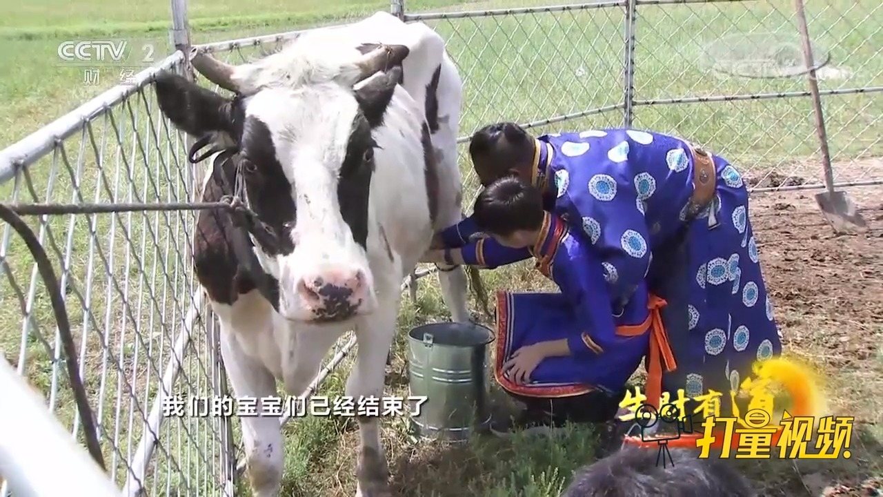 牲畜与食堂冷柜的关系