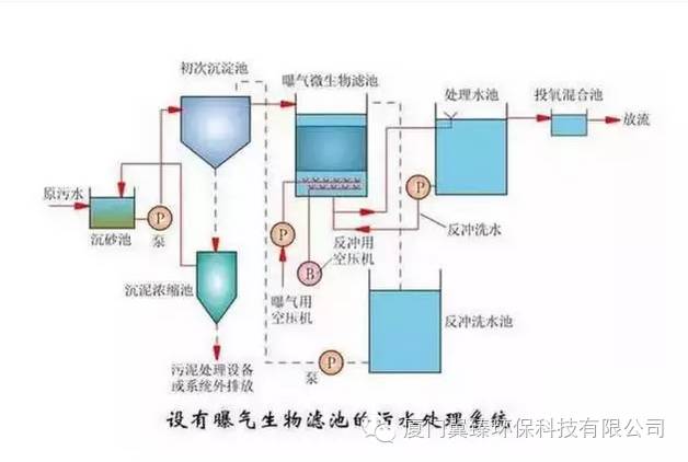 生物识别设备有哪些