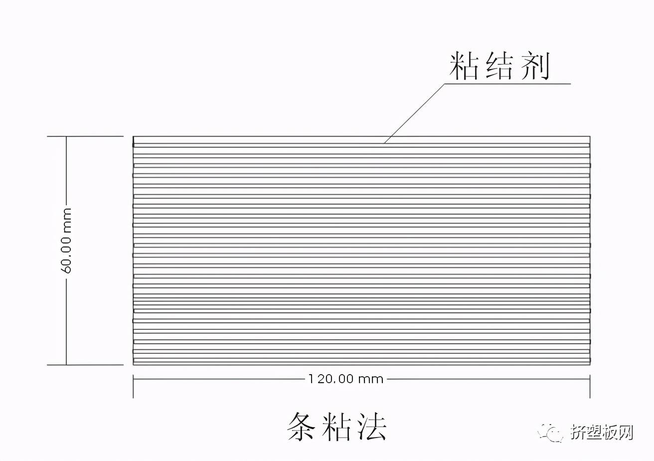 香蜂草图片