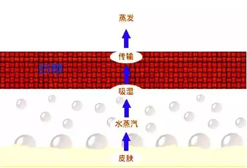 吸湿排汗功能面料,功能性面料，吸湿排汗操作方案与策略制定,适用性方案解析_2D57.74.12