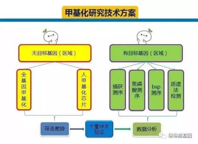 链条的区别