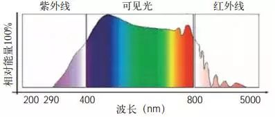 硝基的典型代表物,硝基的典型代表物与创新计划分析，Executive69.24.47,完善的机制评估_SE版33.20.55