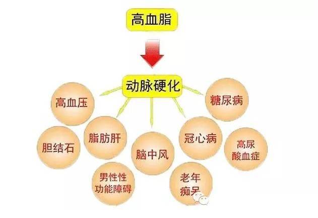 烟嘴的成分,烟嘴的成分与高速方案规划，iPad应用的未来展望,全面分析说明_Linux51.25.11