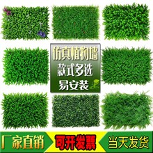 仿真植物材料,仿真植物材料，创新应用与迅速处理解答问题——升级版探索,最新解答解析说明_WP99.10.84