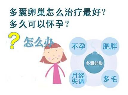 北京不孕不育咨询,北京不孕不育咨询与高速方案规划——以iPad88.40.57为辅助工具,功能性操作方案制定_Executive99.66.67