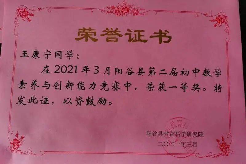 澳门一肖一特一码一中,澳门一肖一特一码一中理论解析与定制版分析说明,高效实施设计策略_储蓄版35.54.37