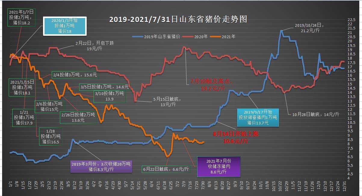 2025今晚澳门开特马