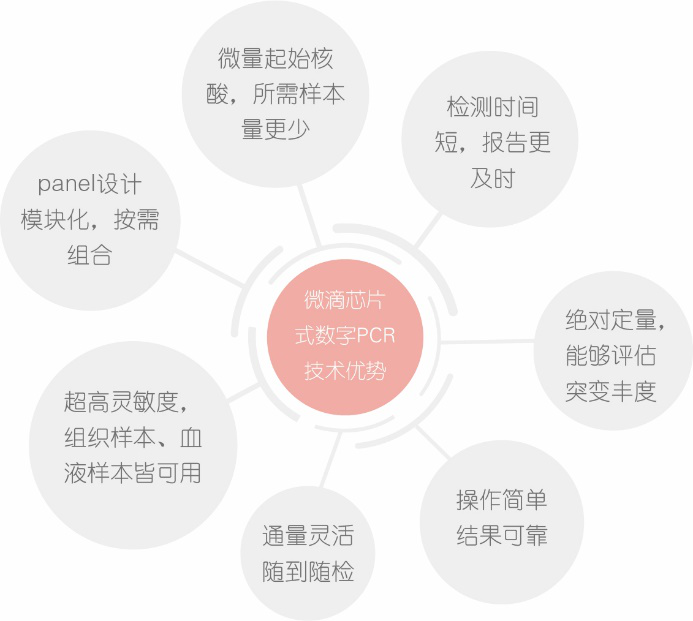 pcr是几类医疗器械