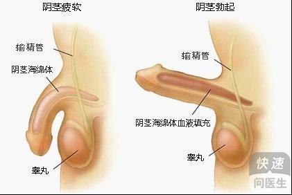 治疗阳萎那个医院好