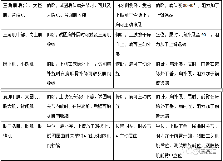 席子是啥,席子是啥，深度解析与评估——精英版39.42.55,创新执行设计解析_标准版89.43.62