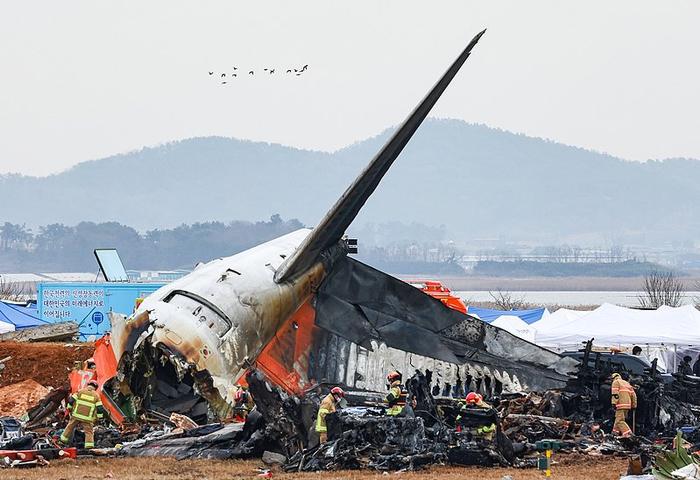 韩国空难客机引擎上发现羽毛