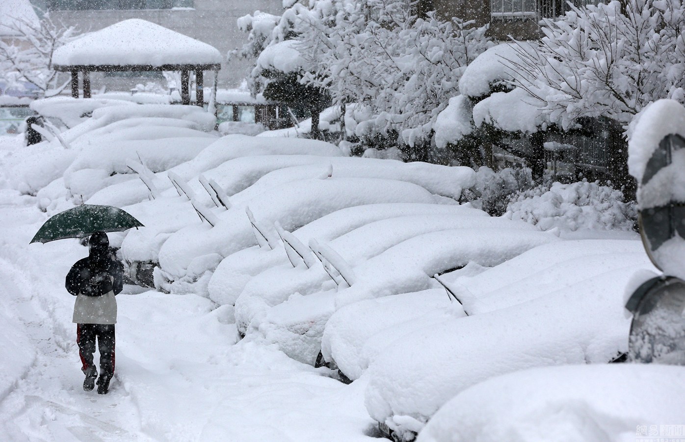 韩国首都圈和江原道普降大雪