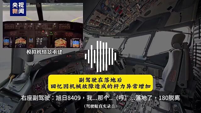 飞鸟撞机被列入A级航空灾难