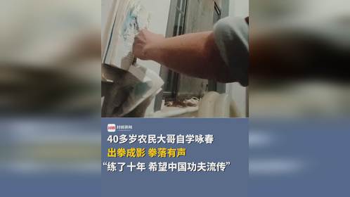 中医医生打咏春拳快到出现残影