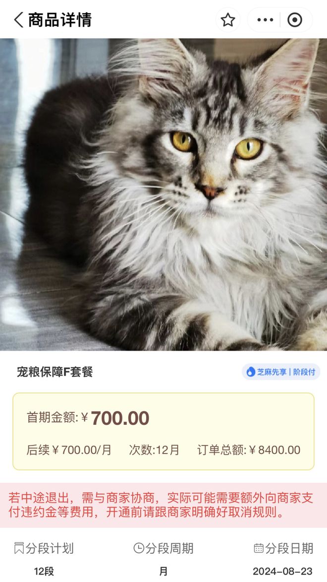 领养猫咪花1.4万后拒付猫贷被告