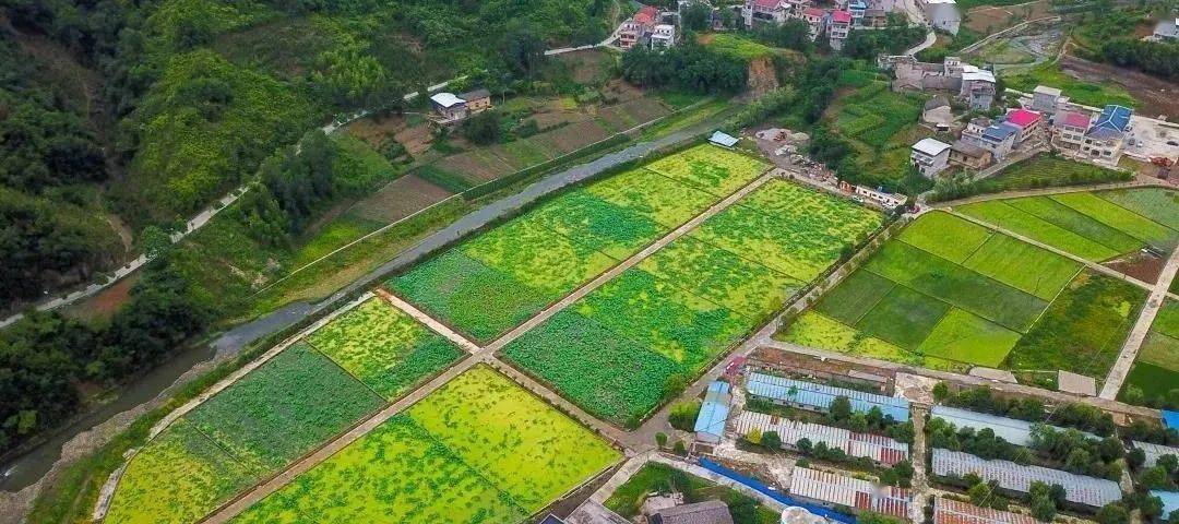 是农业用地而一直未利用如何称