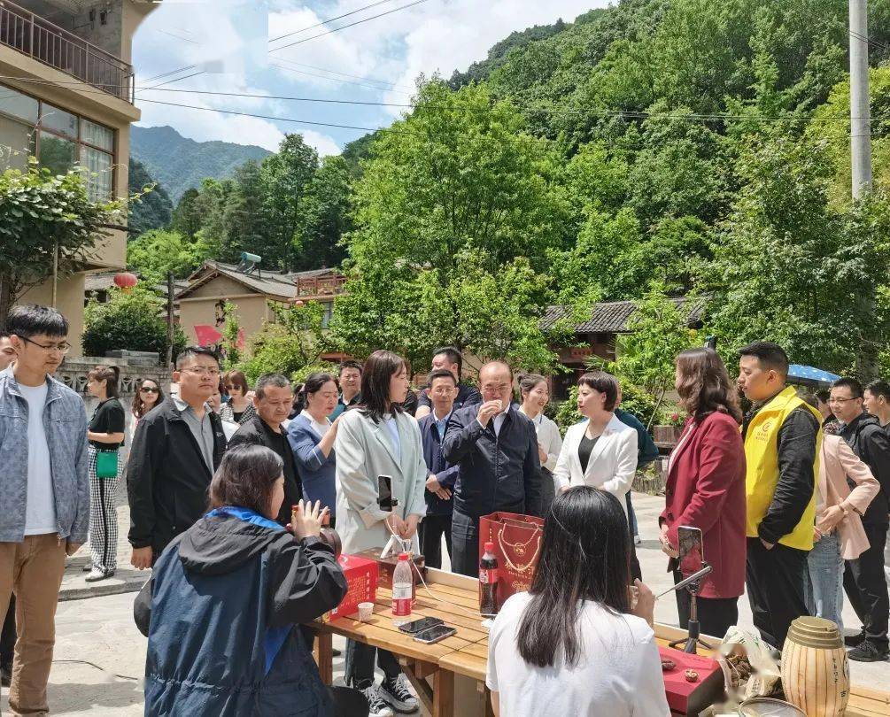 香港摇钱树论坛开码开奖现场直播