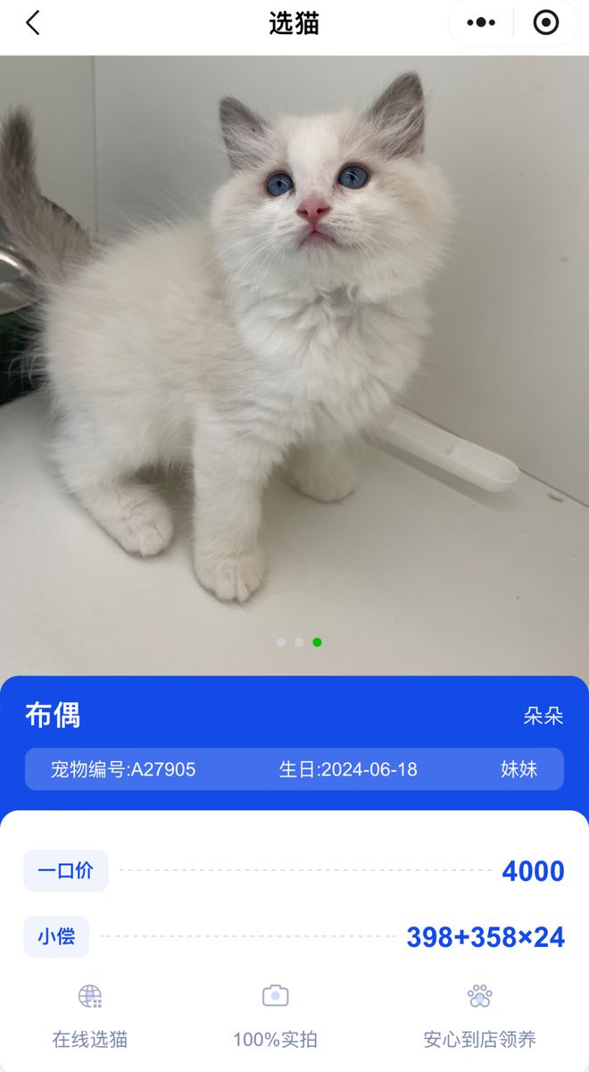 领养猫咪花1.4万后拒付猫贷被告