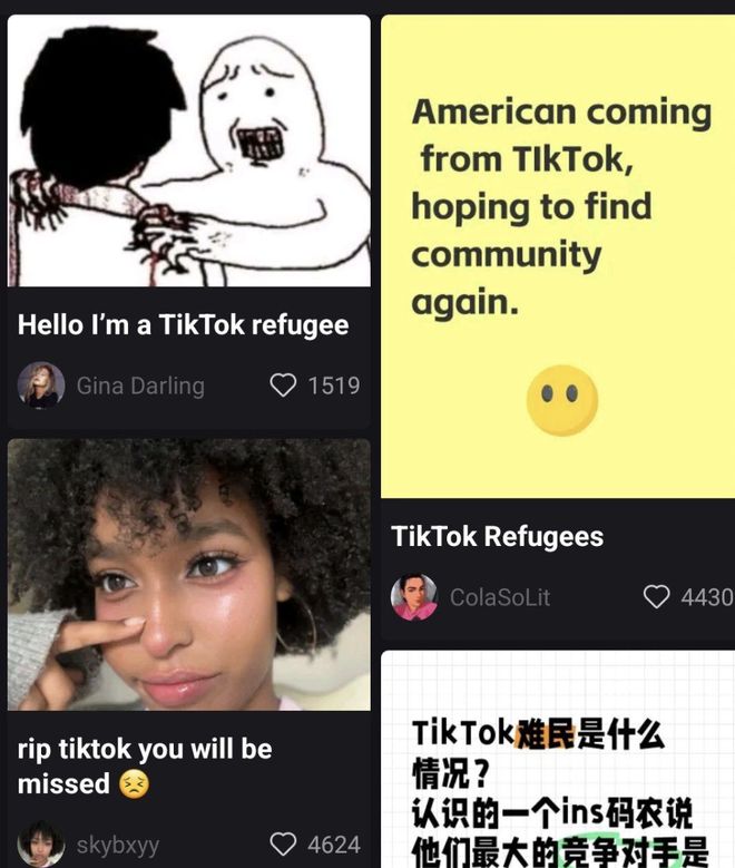 TikTok难民