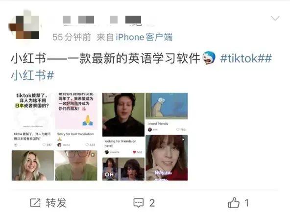 TikTok不让用 美国网友转战小红书