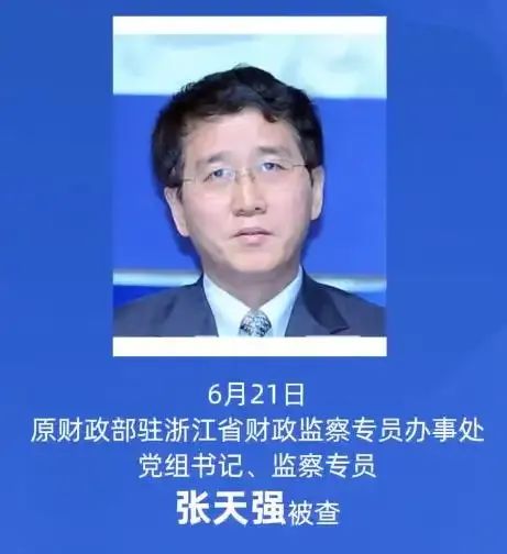 张天强自行脱党 被党内除名