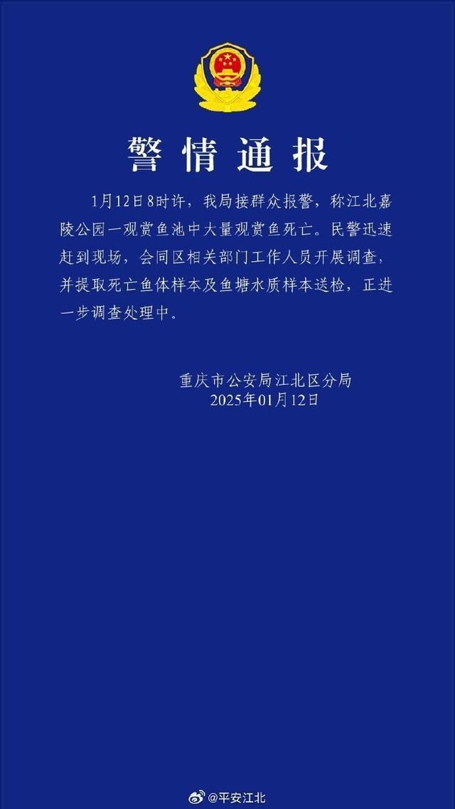 警方通报锦鲤大批死亡：人为投毒